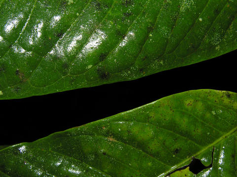 6689147219_f7b158b888_o.jpg