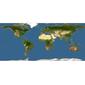 Discover Life: Point Map of Aristolochia asperifolia