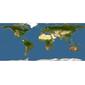 Discover Life: Point Map of Mikania riparia